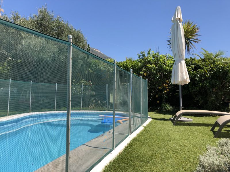 Pet-Friendly Pool Fence